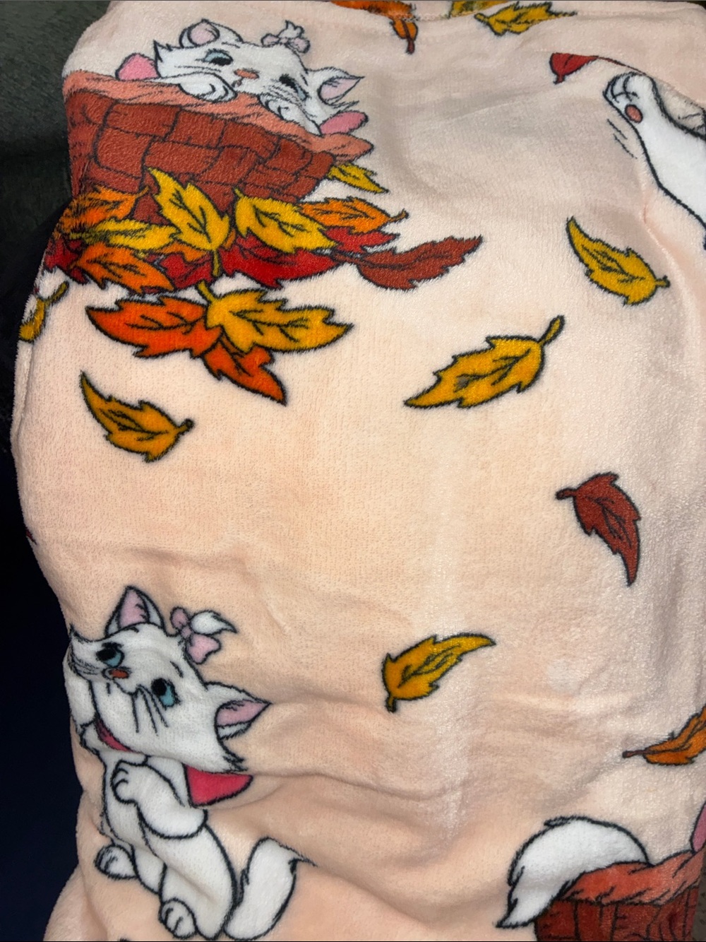 Aristocats Marie Fall plush throw blanket